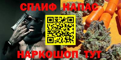 спиды Обь