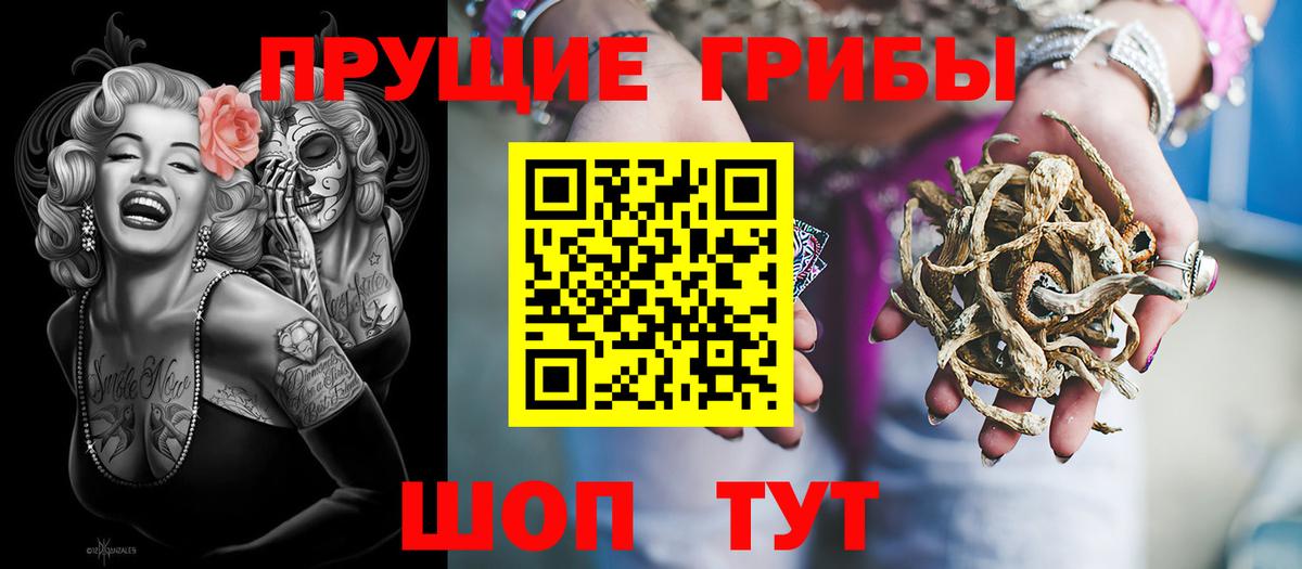 Алатырь  Псилоцибиновые грибы GOLDEN TEACHER  Вход с VPN  Псилоцибиновые грибы Cubensis 